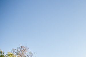 Kent Apartments - Driftwood Apartments - Exteriors and Gardens